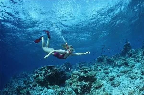 碳水一定要吃大米吗?其他碳水不能代替吗?游戏画面