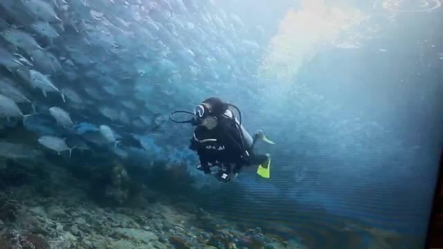 海东税收收入实现历史新突破