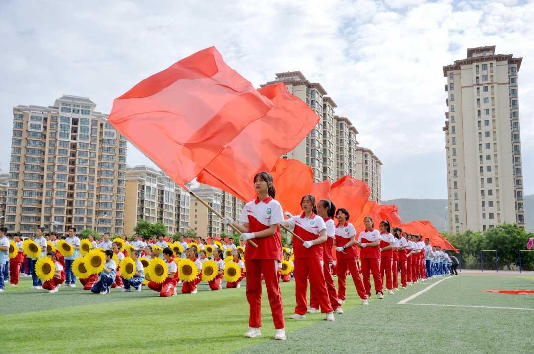 曾四千万一只,如今白送没人要!近十年最大泡沫,无数人血本无归