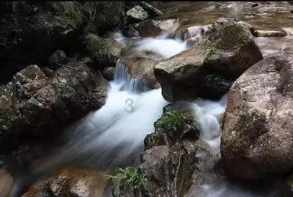 江州区:“四着力”推动科普工作提质增效