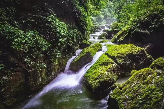 国医大师周信有,精研《内经》,研制出肝炎和冠心病中药新药