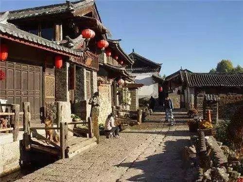 饥饿的哈利
