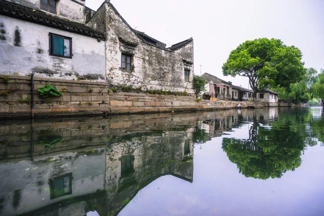 移交中国！缅北电诈家族落网，头目都是谁？